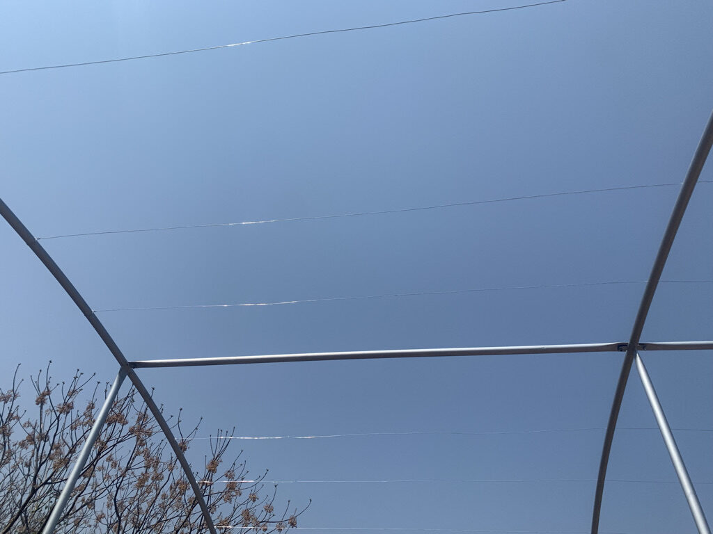 0F4EC35A-095F-45A2-AB46-48CDE47405FA_1_105_c