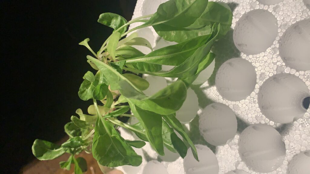 20211022_203417877_iOS