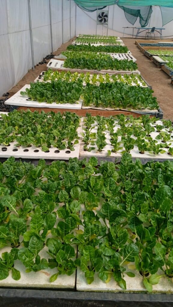 20220908_101828000_iOS