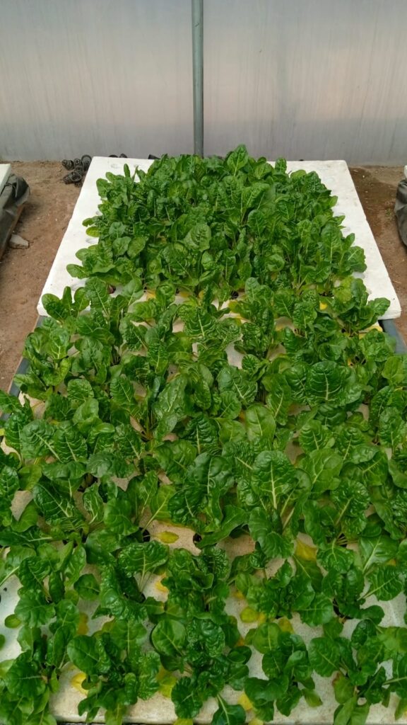 20220908_101843000_iOS