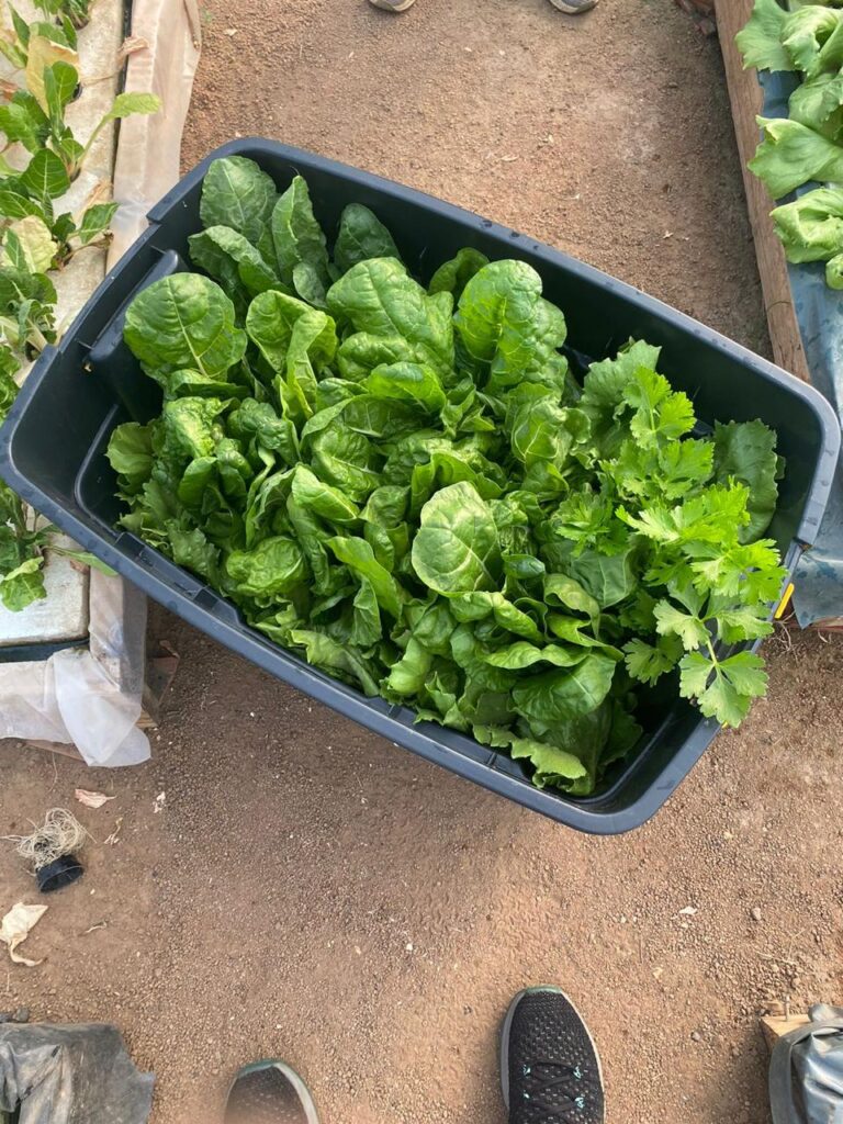 20221001_142513000_iOS