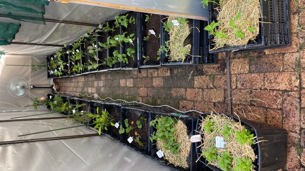 20240104_133126305_iOS