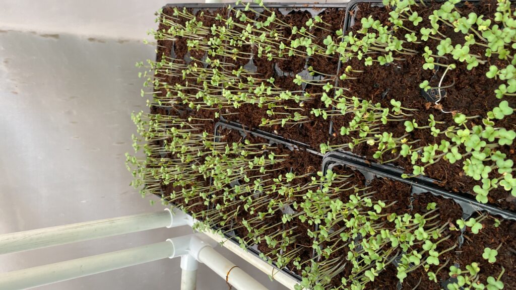 20240219_123610695_iOS