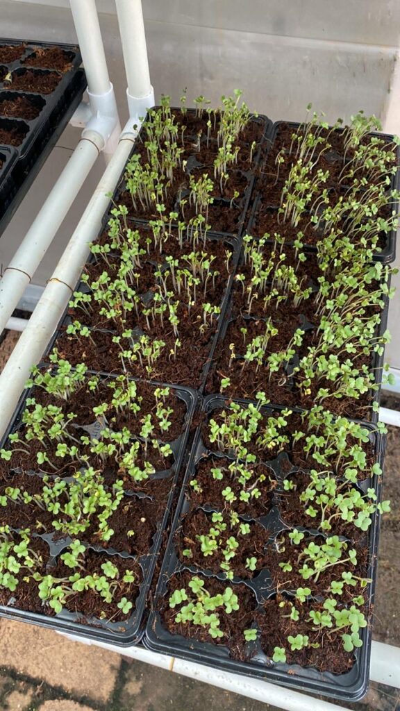 20240304_234817000_iOS 6