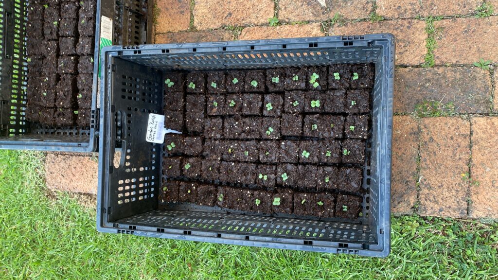 20240326_142927257_iOS