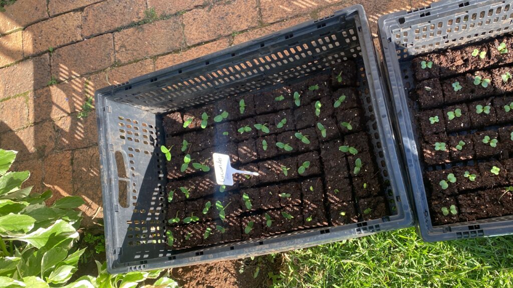 20240326_142943404_iOS