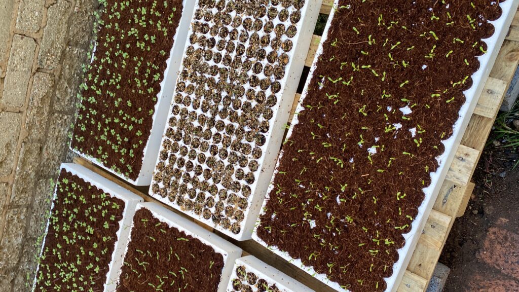 20240420_085113400_iOS