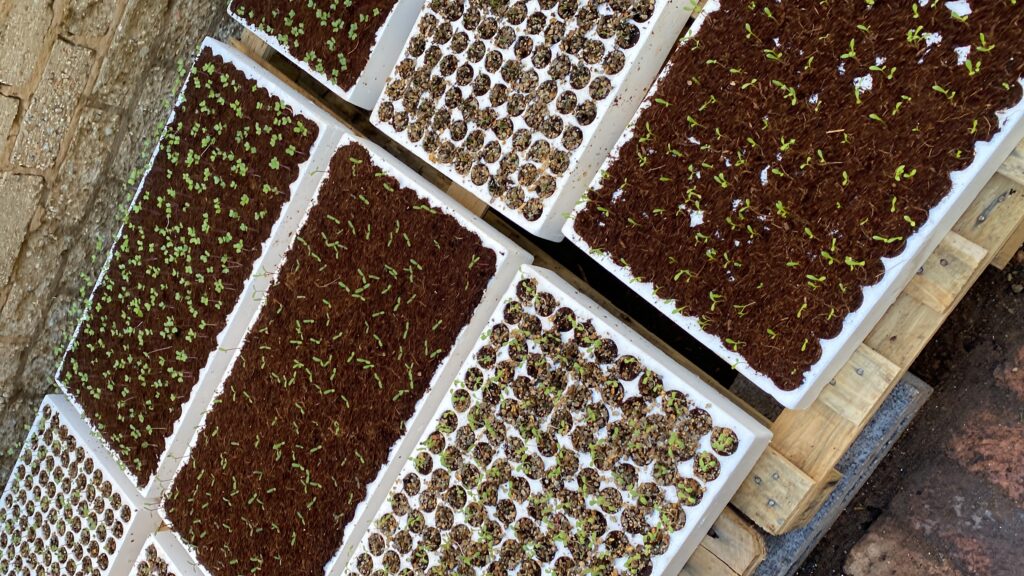 20240420_085114163_iOS