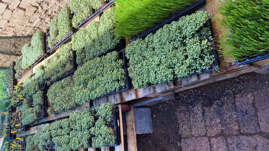 20240420_085117697_iOS