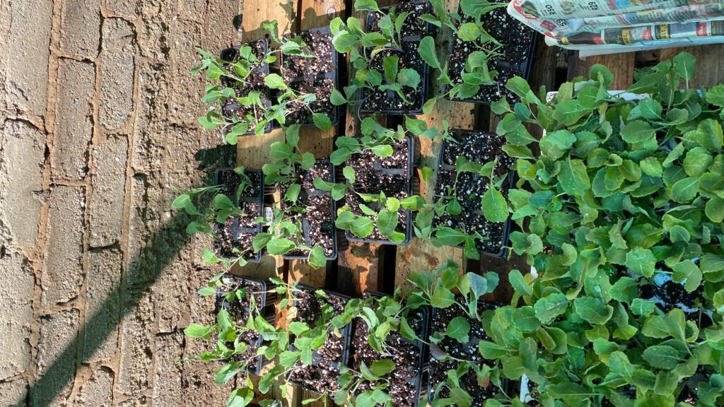 20240420_085127308_iOS