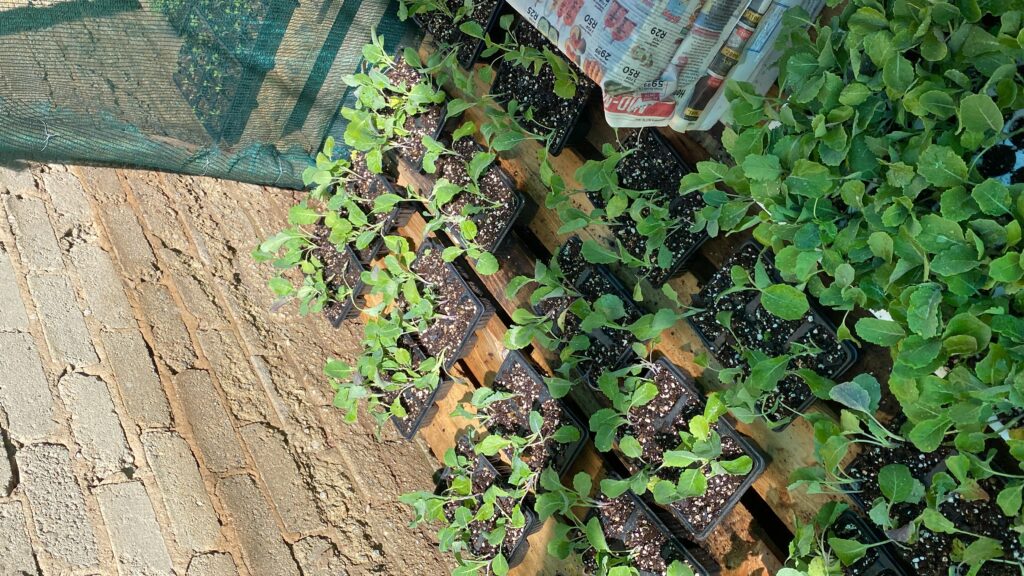 20240420_085128825_iOS