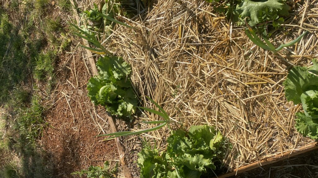 20241130_132500747_iOS