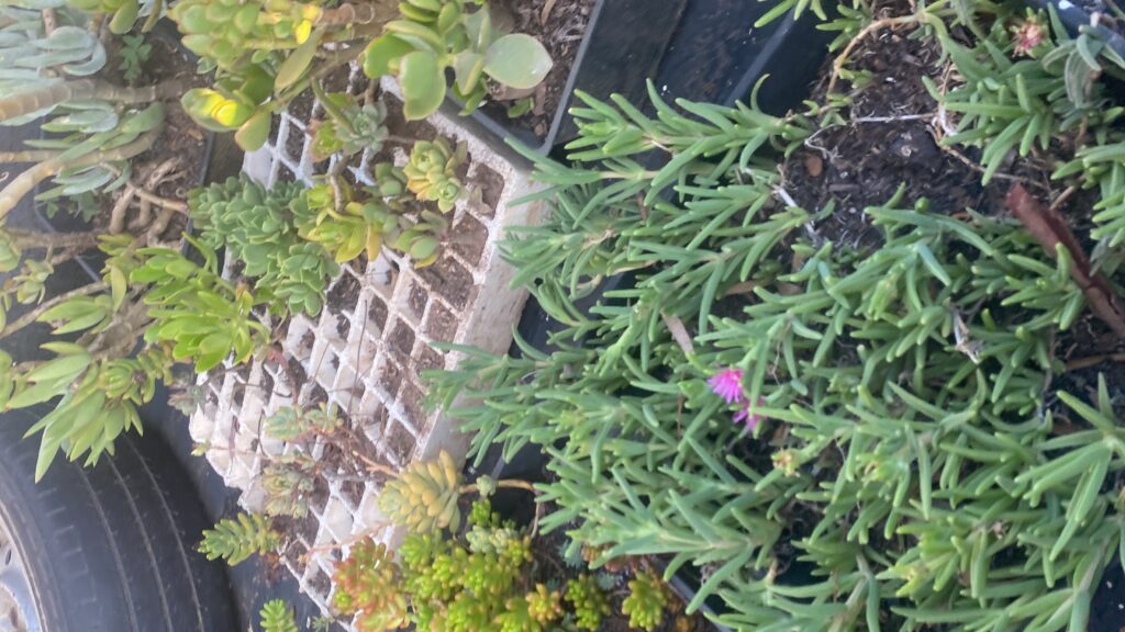 20241213_161421138_iOS