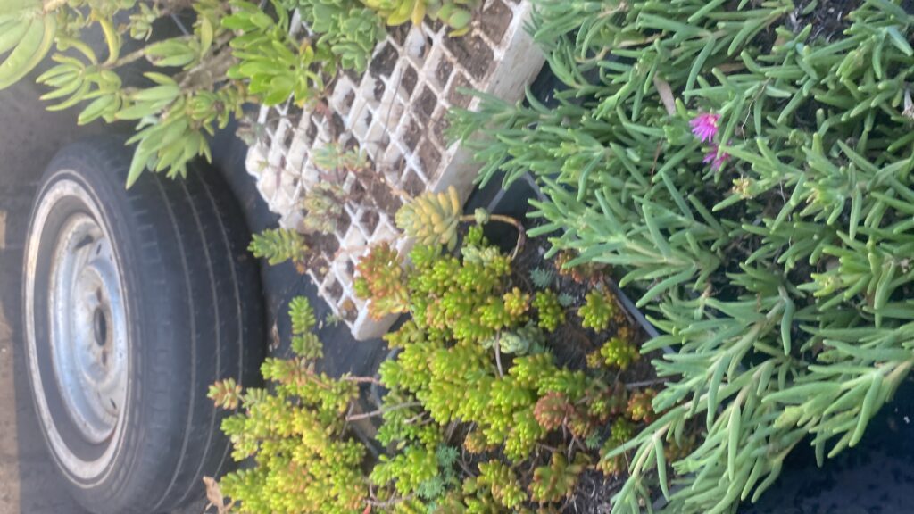 20241213_161421418_iOS