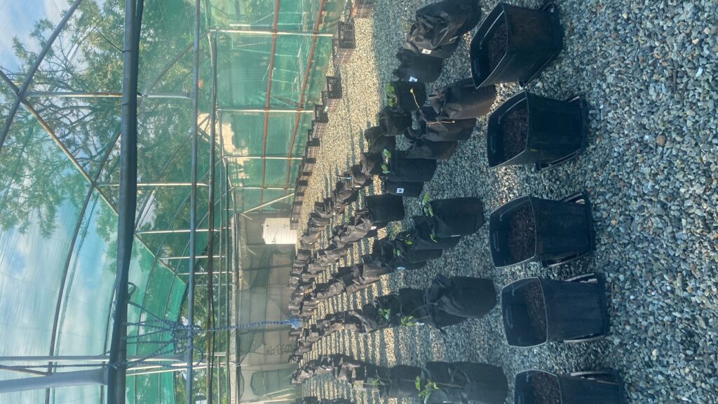 20250228_143903702_iOS