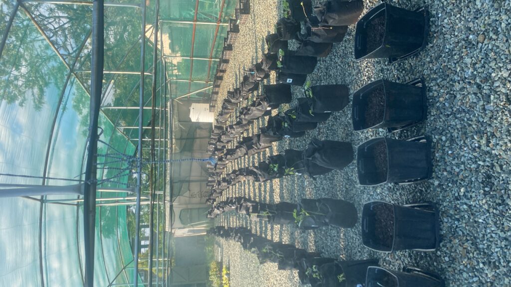 20250228_143903963_iOS