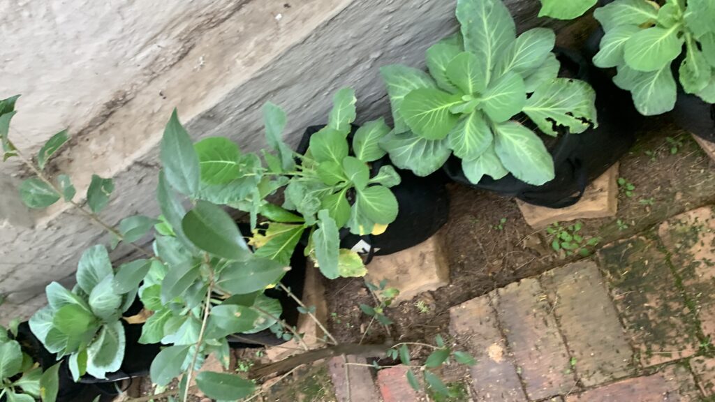 20250515_111727667_iOS