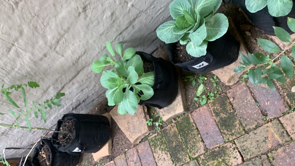 20250515_111729441_iOS