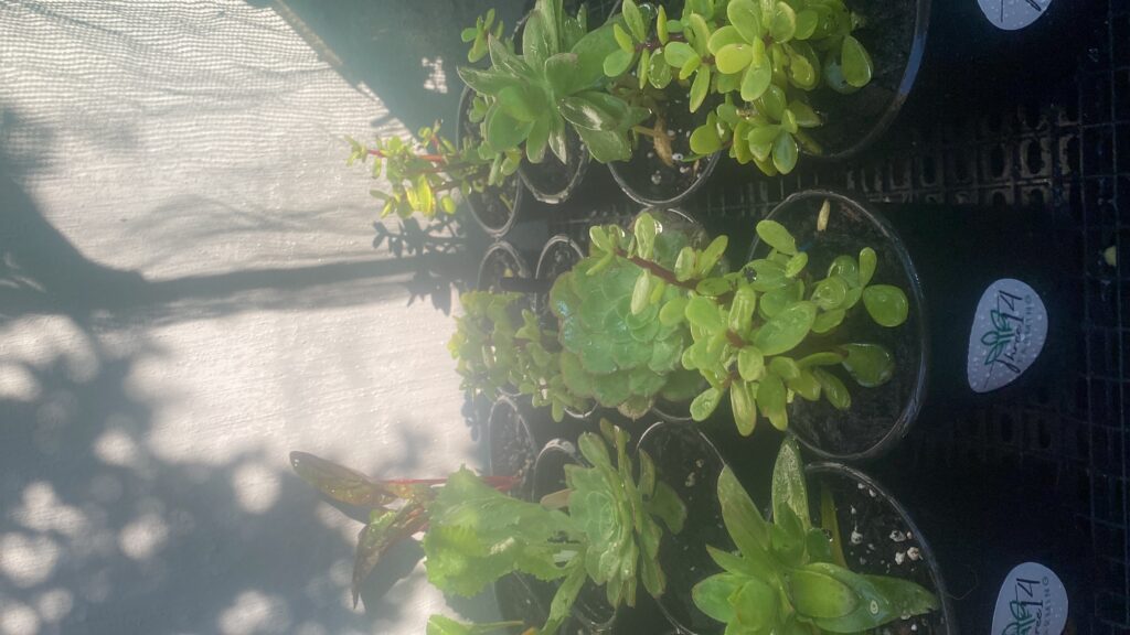 20250517_062101575_iOS