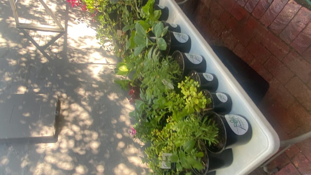 20250517_062608536_iOS