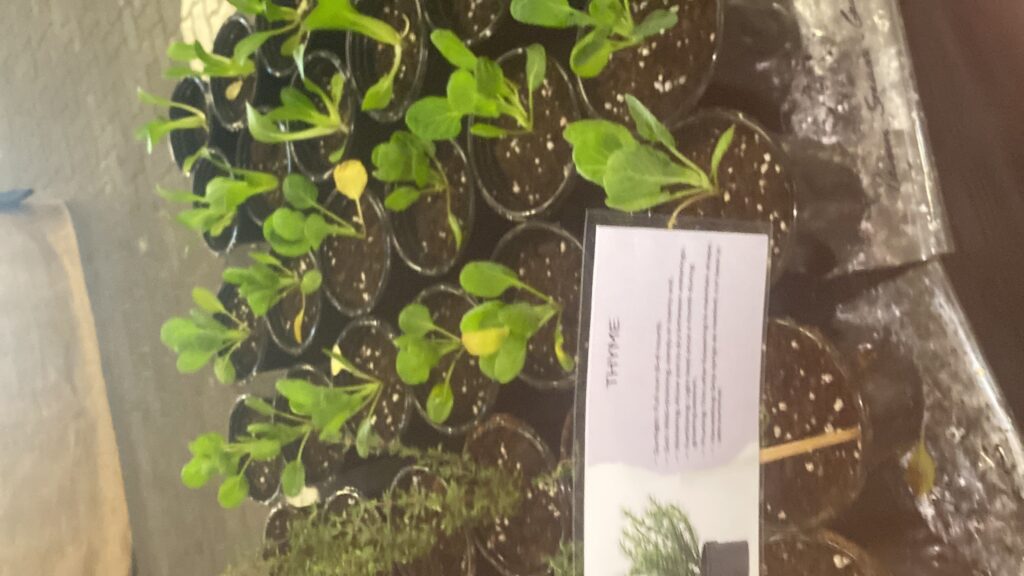 20250525_072614899_iOS