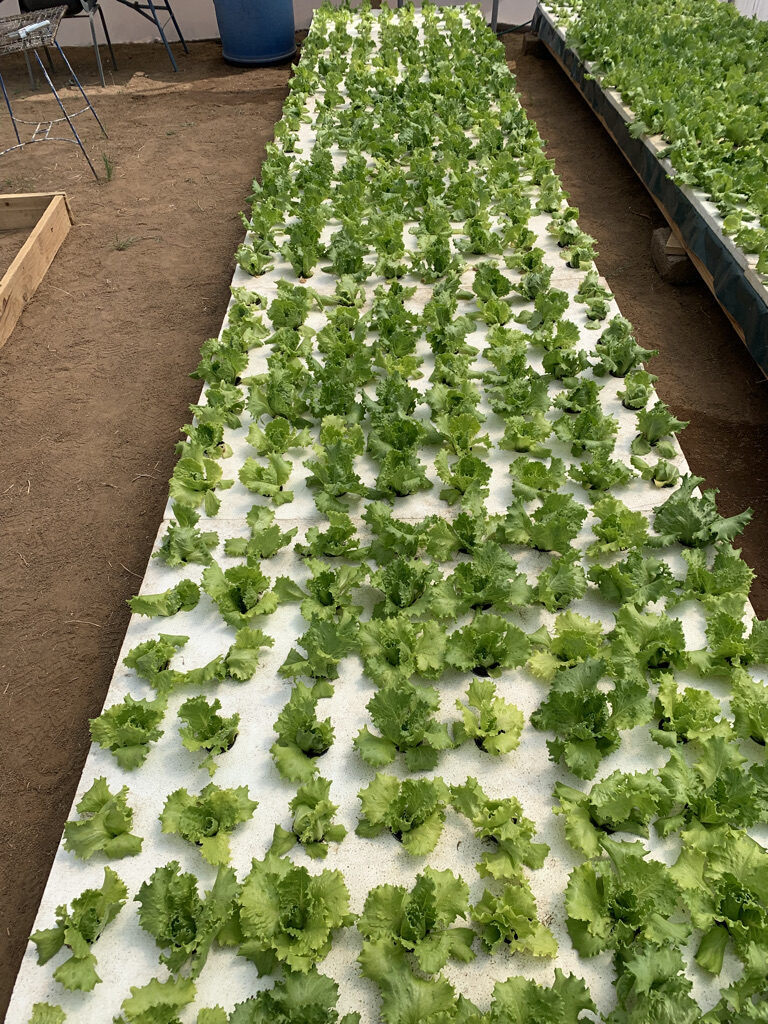 3EA8E12E-9EB6-4D02-A030-401620AF3FD1_1_105_c