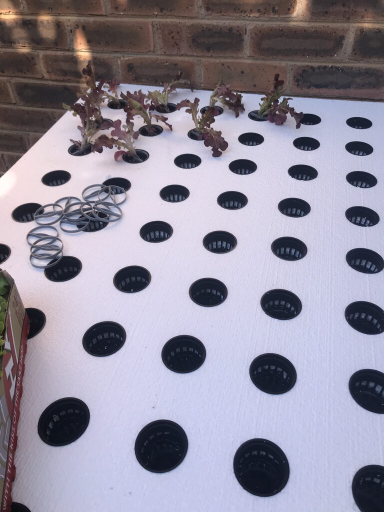 55B2A602-6441-44A2-87C9-CC381A813069_1_105_c