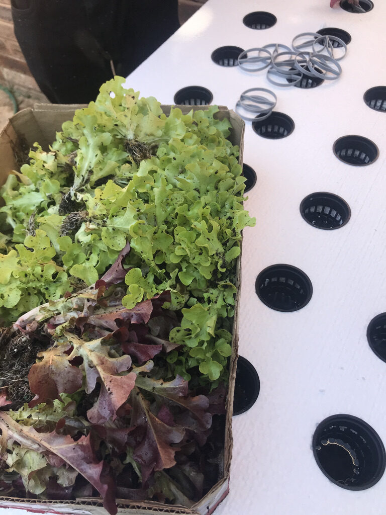 75F16301-CA6F-484D-8A54-86ED3C6B65F3_1_105_c