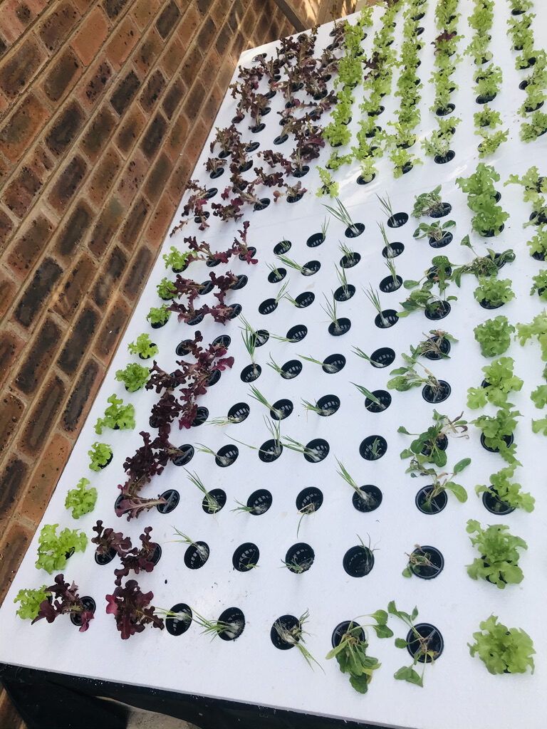 93561291-49D8-4C7B-9905-6DD7A4217AB9_1_105_c