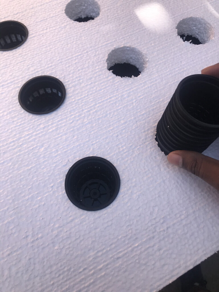 B15AFA7D-0DD8-4B96-BB49-AA01E83ADE84_1_105_c