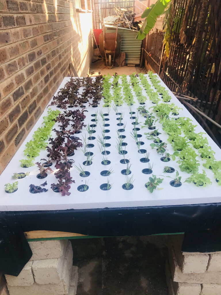 C04171DE-F213-4004-AA06-F8260BA29575_1_105_c