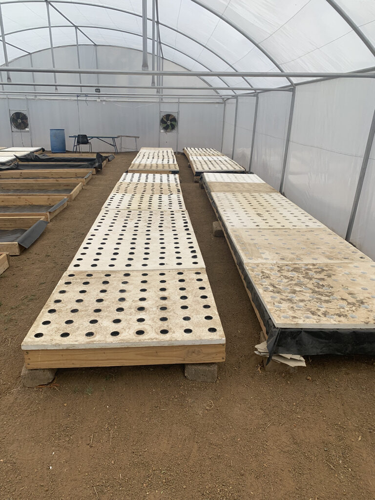 D03C22DE-52D5-4783-A214-D879BA60C010_1_105_c