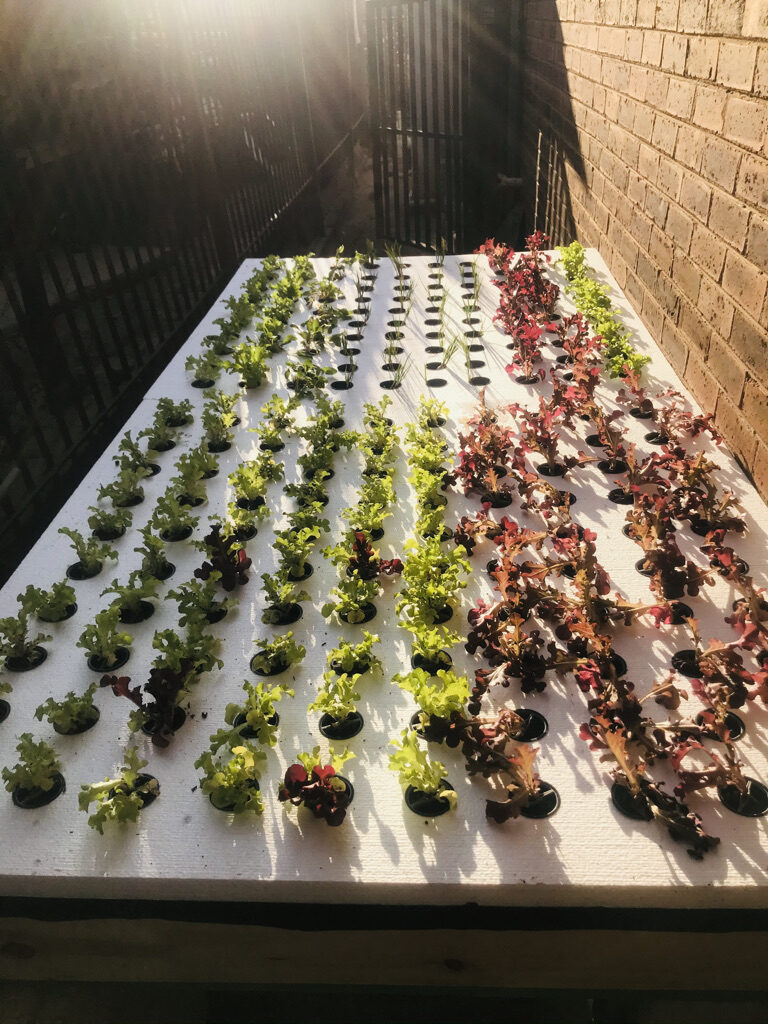 FBE9E145-3FF6-4916-9523-815C4F5A779C_1_105_c