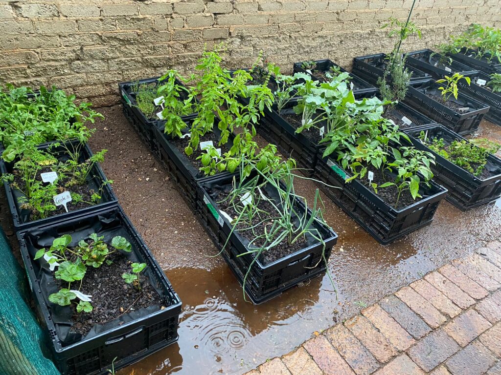 PHOTO-2024-03-02-16-56-10