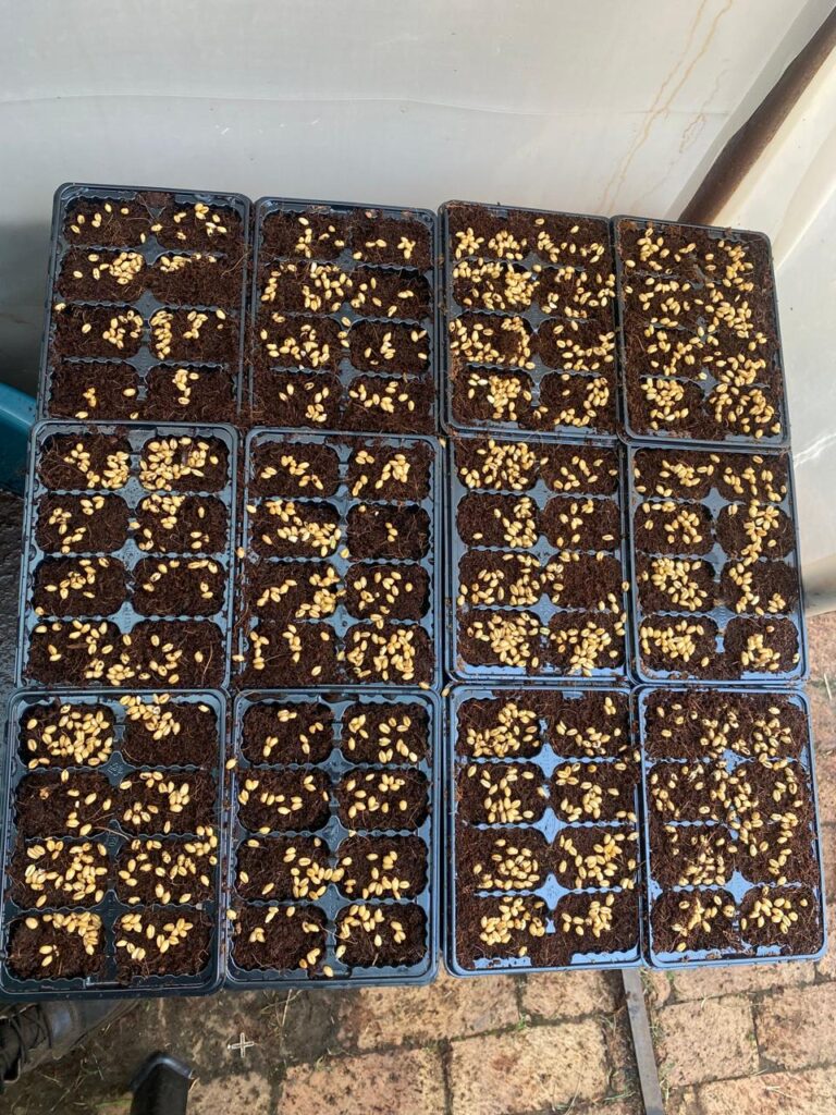 PHOTO-2024-03-05-01-48-17_10