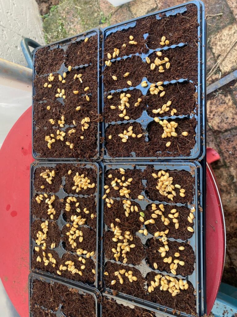 PHOTO-2024-03-05-01-48-17_8